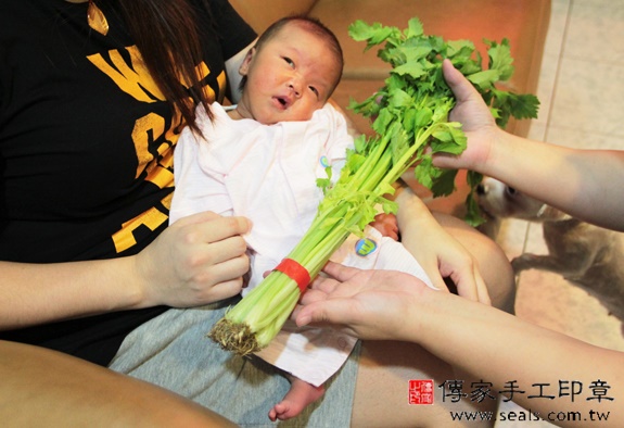 陳寶寶(新北中和區到府嬰兒寶寶滿月剃頭理髮、免費到府嬰兒剃胎毛儀式吉祥話)。到府剃頭剃胎毛主持、專業拍照、DVD光碟、證書。★購買「臍帶章、肚臍章、胎毛筆刷印章」贈送：剃頭、收涎、抓周，三選一。2015.11.18 照片12